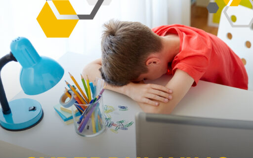 Cyberbullying – Um perigo real.